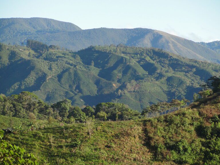 Costa Rican mountains