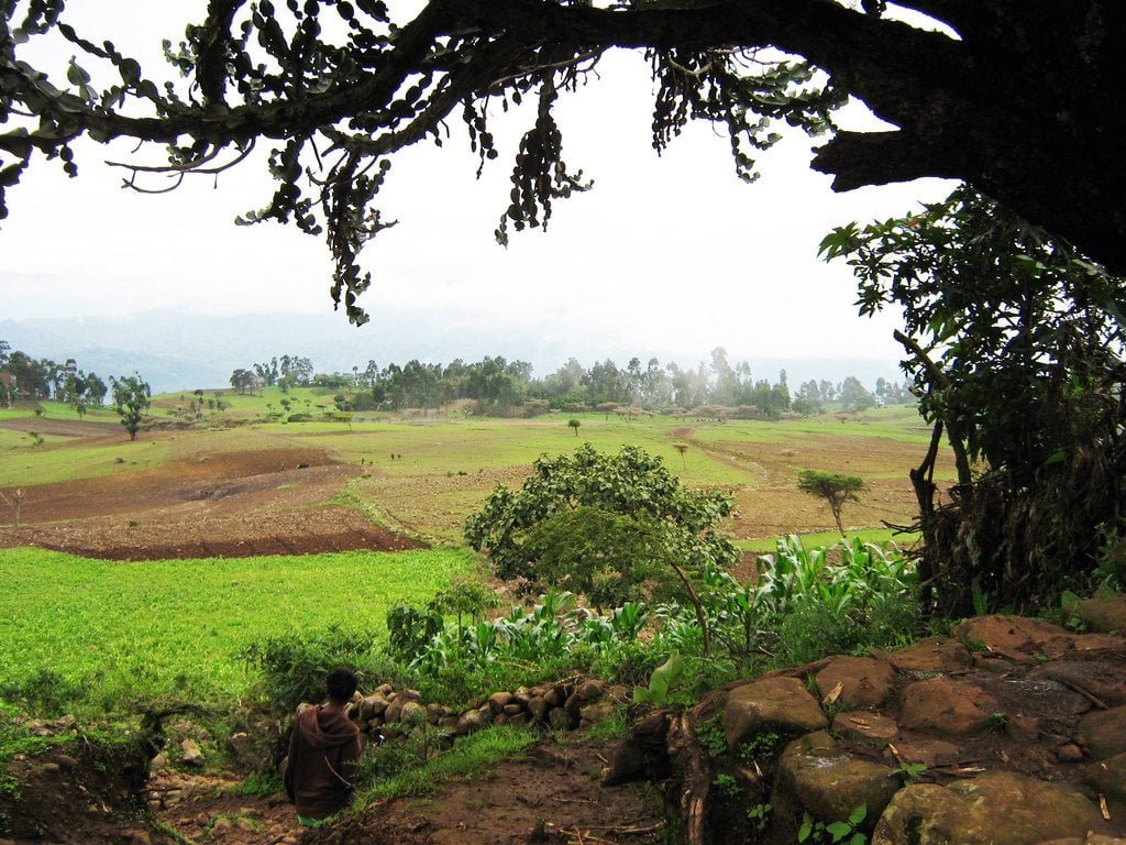 Meta Robi landscape, Oromia, Ethiopia