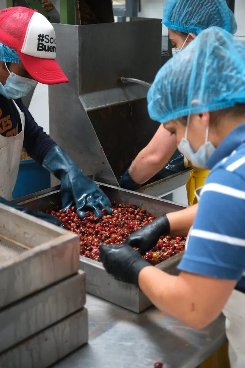 Helsar de Zarcero Micromill