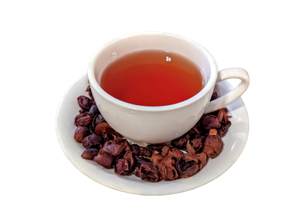 Cascara Tea