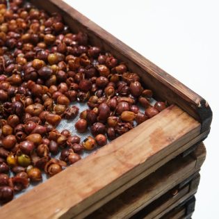 Cascara: Coffee Cherry Tea Gift Set