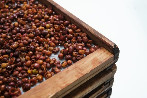 Cascara: Coffee Cherry Tea Gift Set