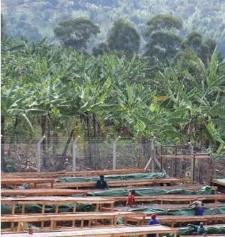 Gamatui Community