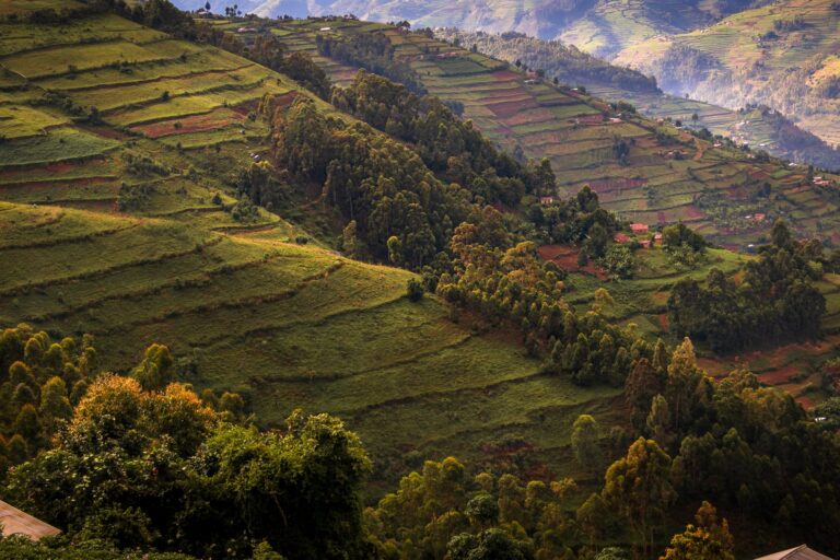Uganda - Photo by Harvey Sapir