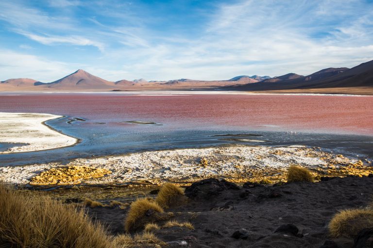 the red water of the laguna colorada