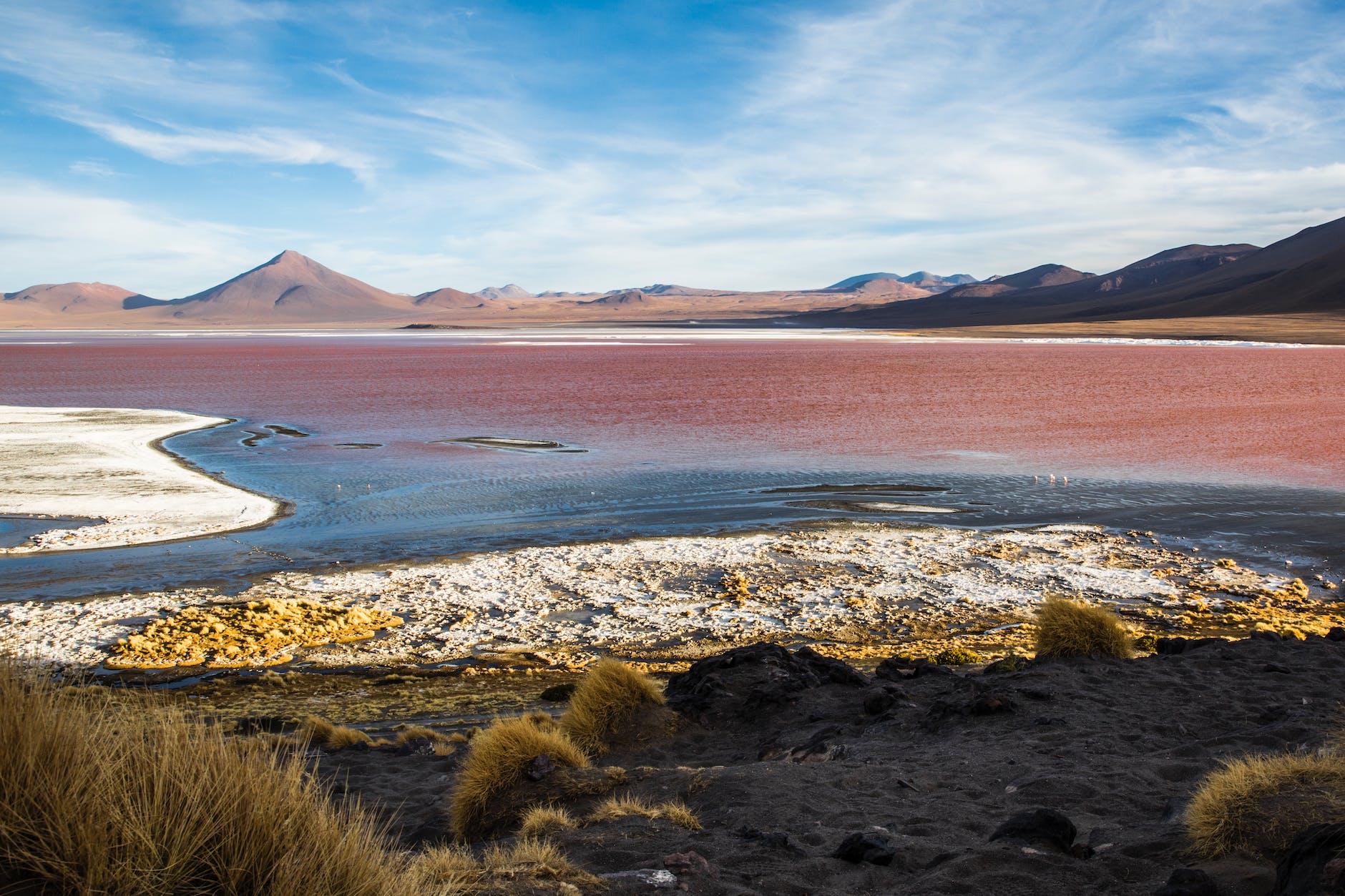 the red water of the laguna colorada