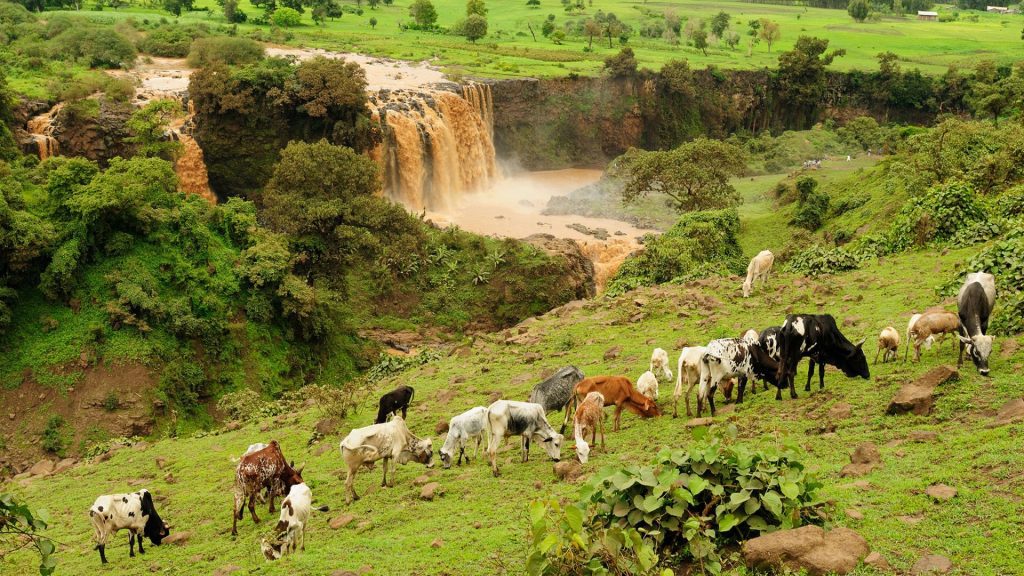 Ethiopia's Blue Nile Falls