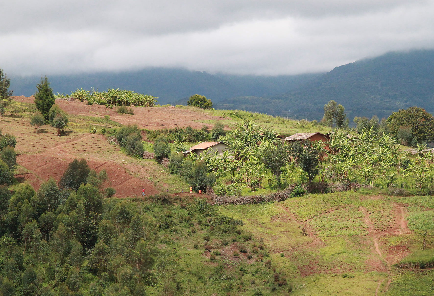 Burundi mountains