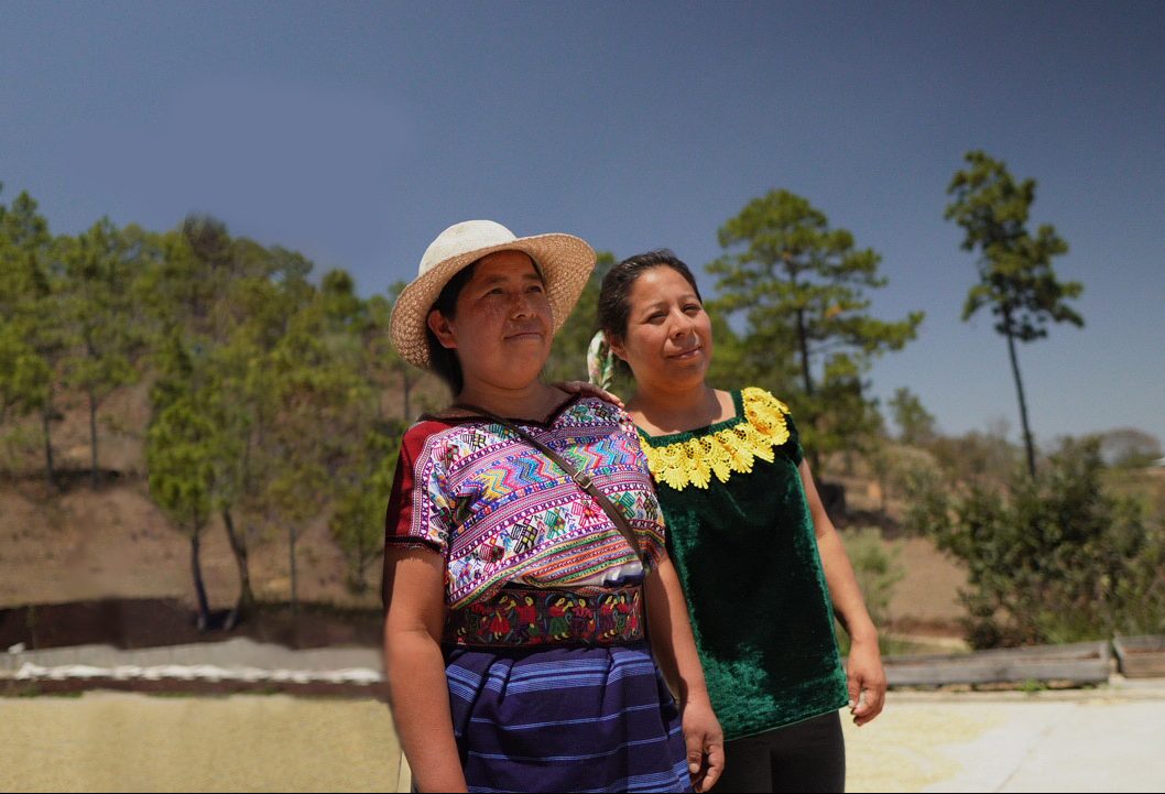 Cooperativa La Asuncion