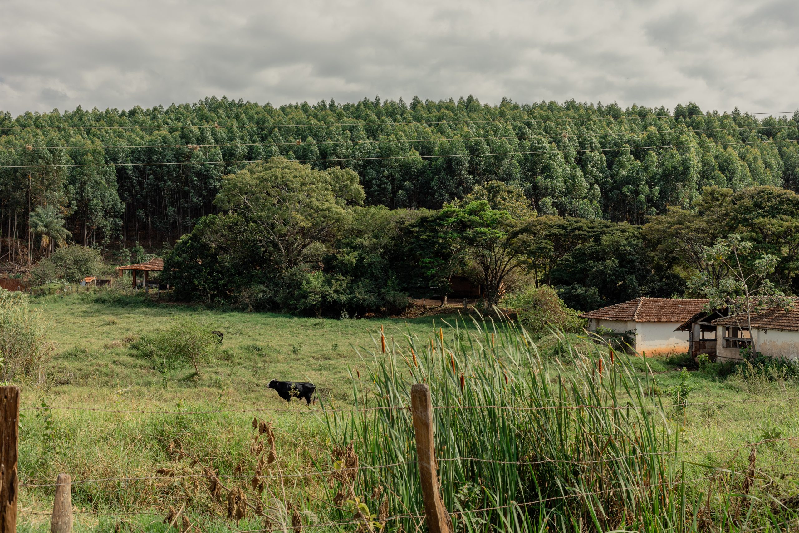 Fazenda São Domingos