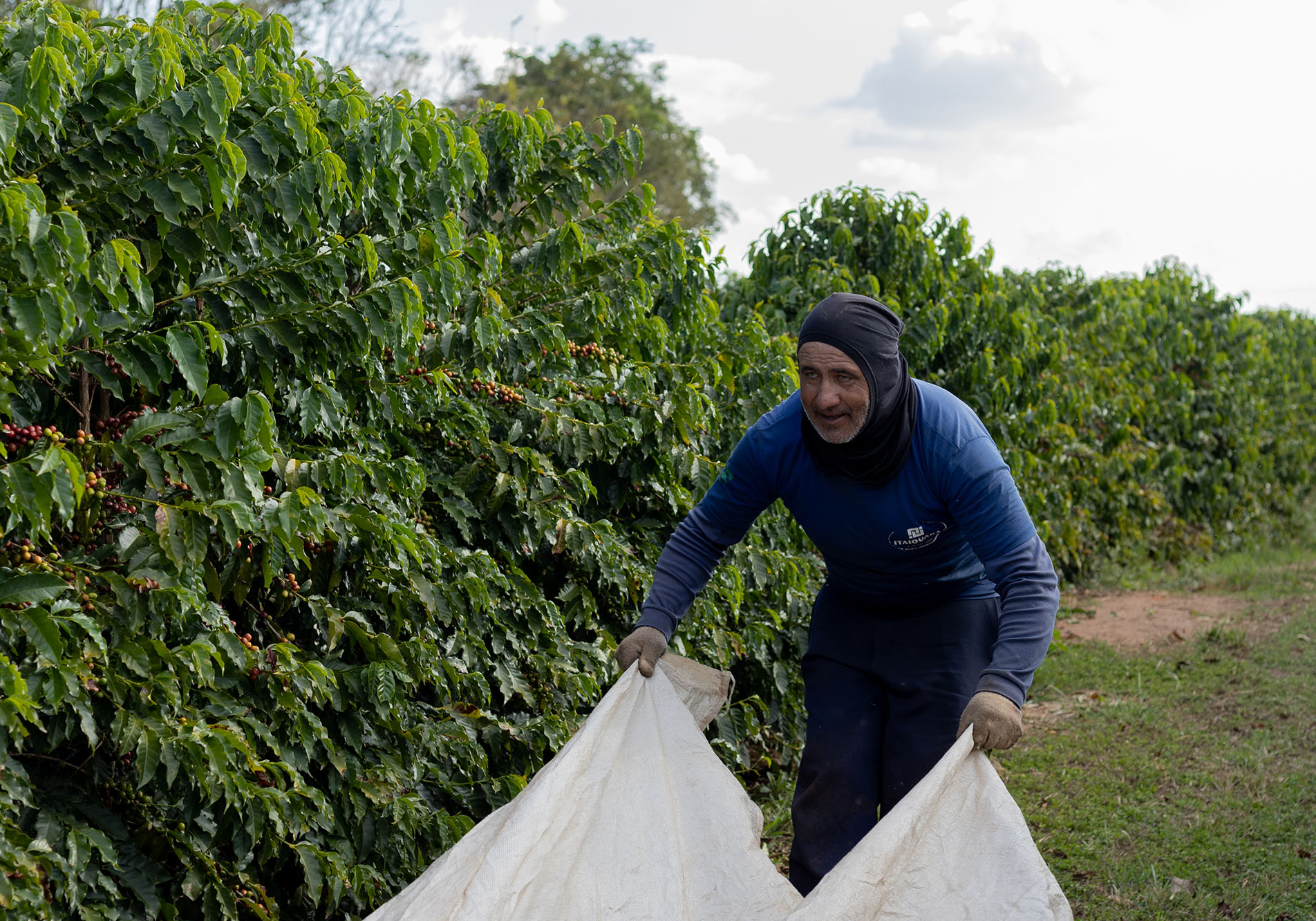 Fazenda São Domingos