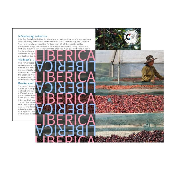 Untitled (9) Liberica L1 Natural