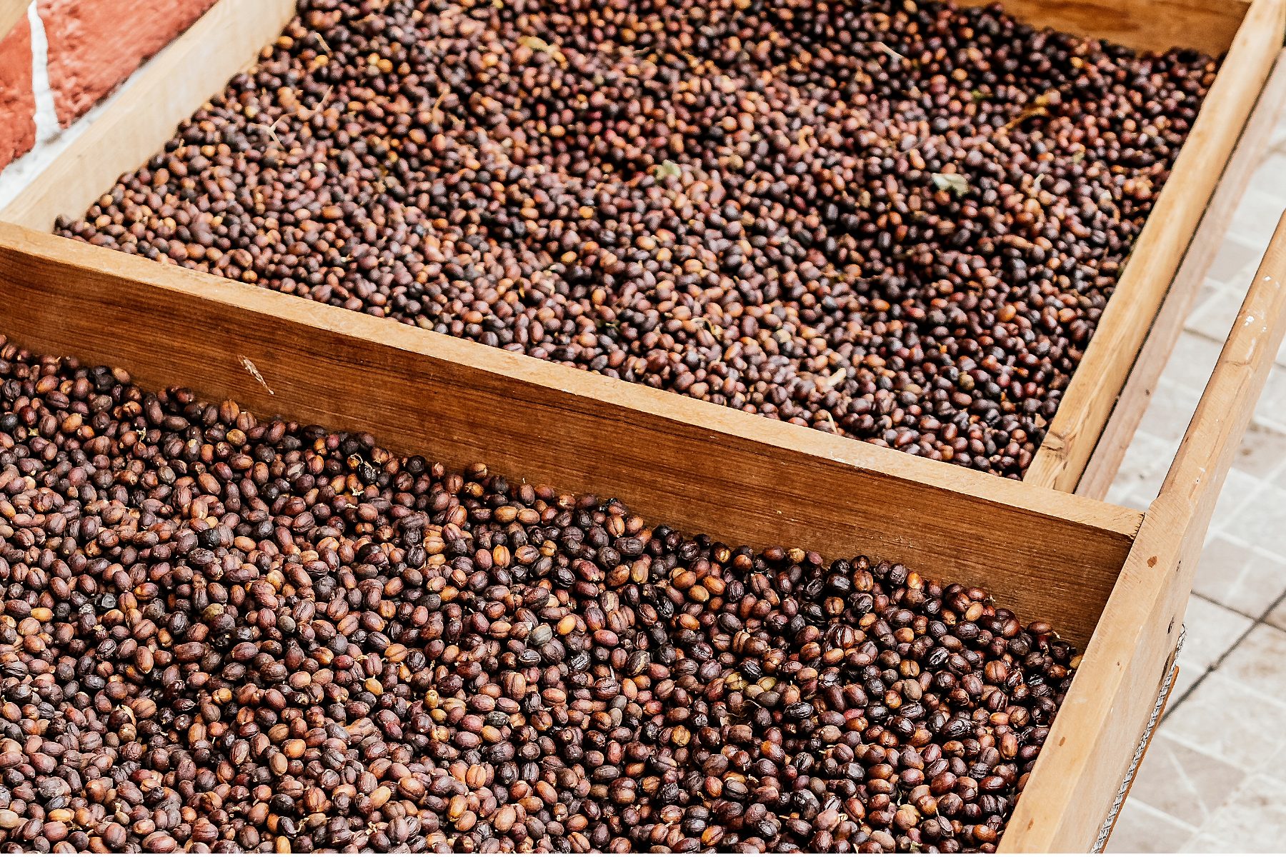 this coffee was dried using natural process which resulted in some of the best decaf coffee beans we've ever tried