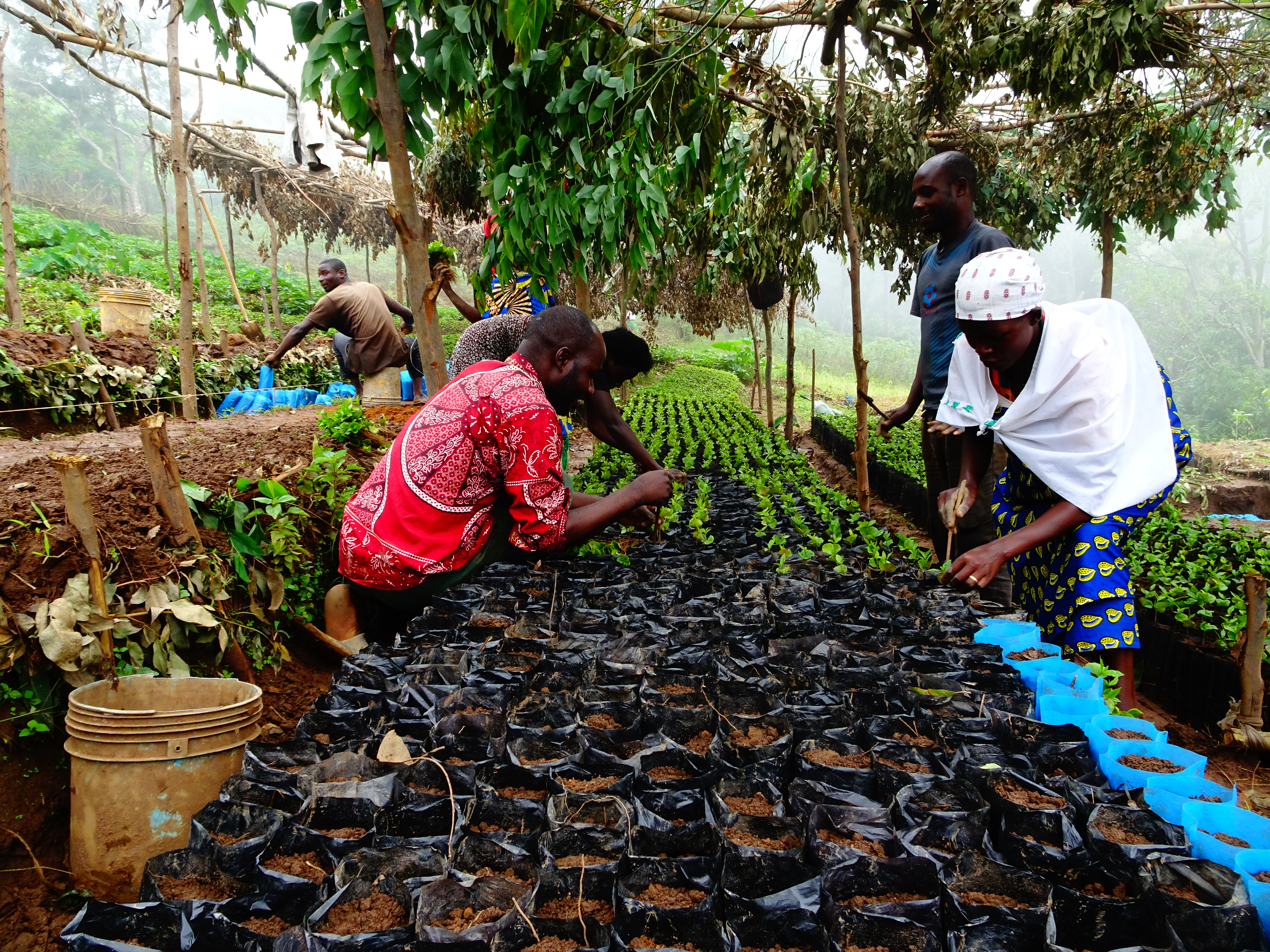 Kinama Washing Station