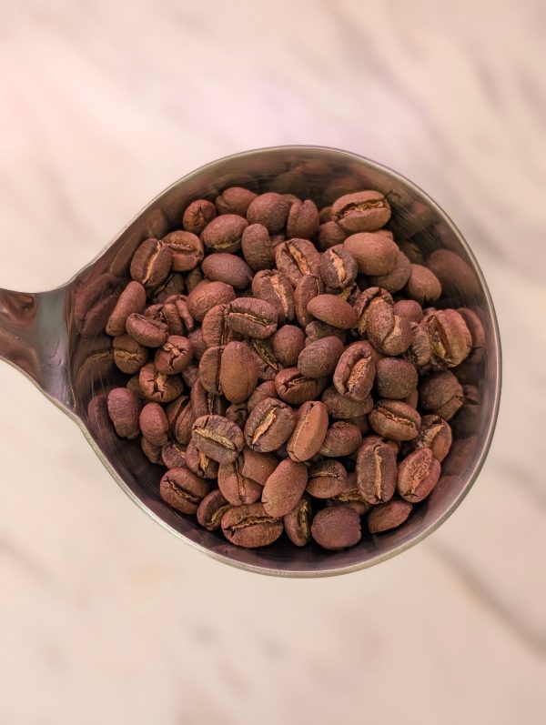 Spoonful of roasted coffee beans